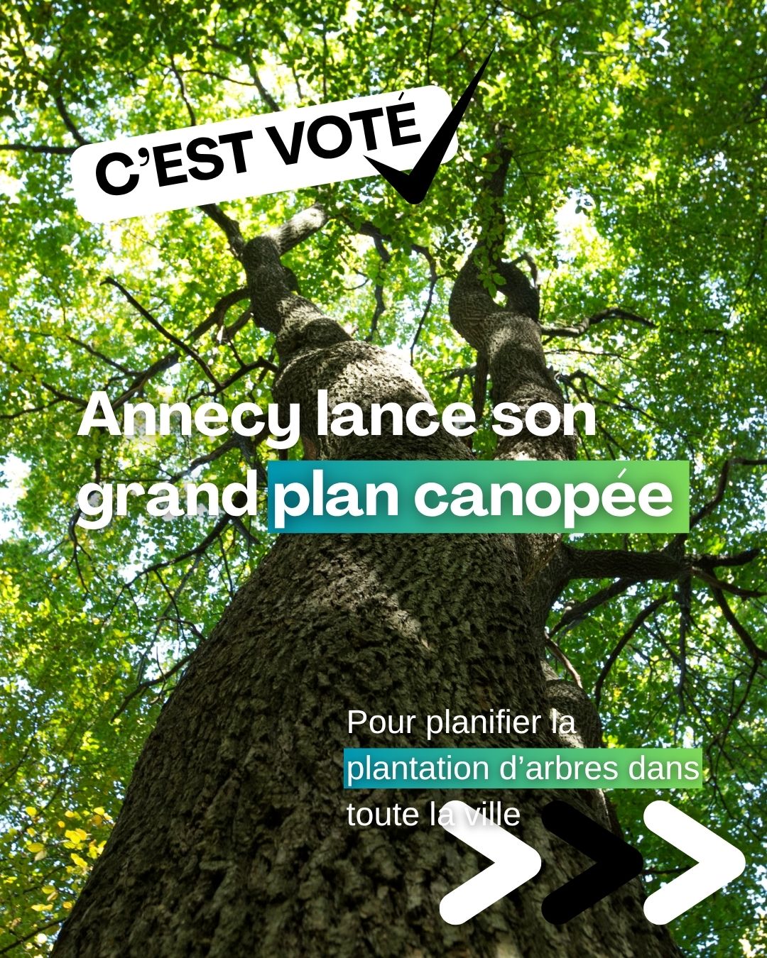 Annecy se dote d’un plan canopée pour préparer la ville au réchauffement climatique.