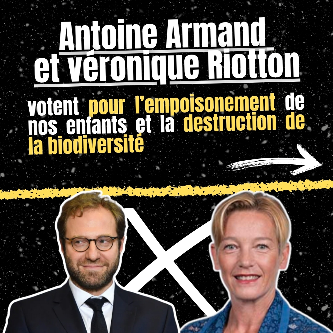 Vos députés votent pour l’empoisonnement de vos enfants et la destruction de la biodiversité.